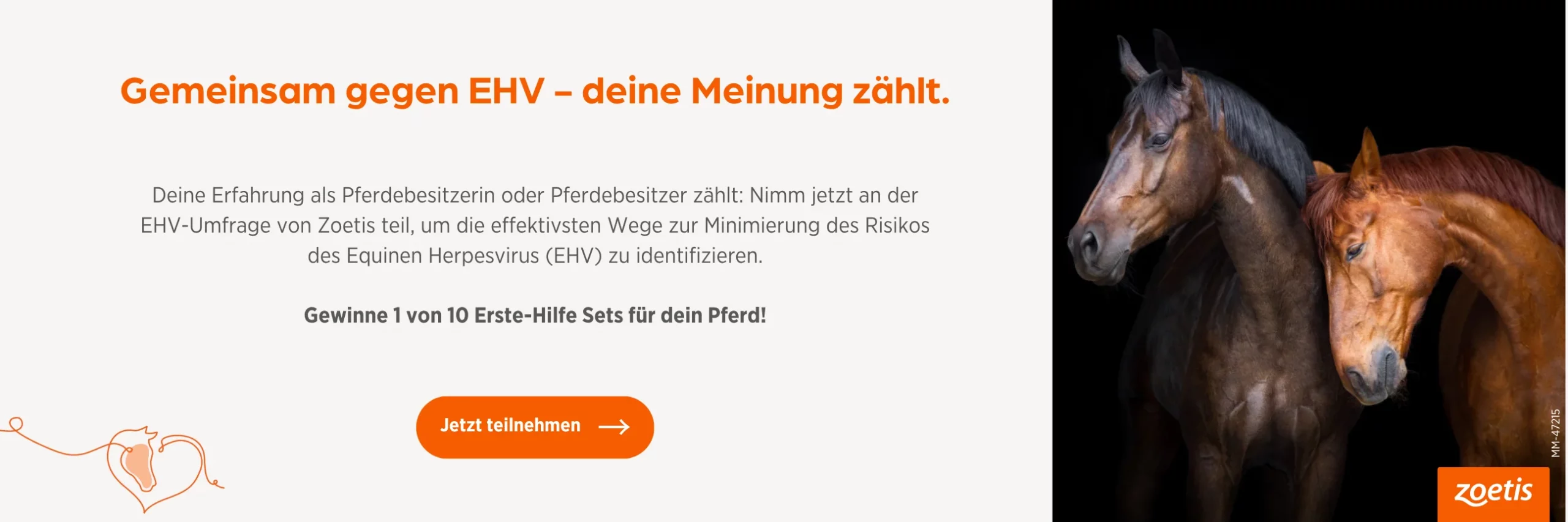 Kampagnenmotiv „Gemeinsam gegen EHV“ zur Herpesimpfung beim Pferd