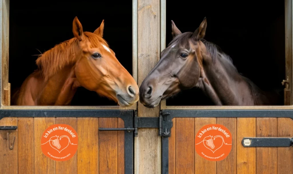 Zwei Pferde schauen aus benachbarten Stalltüren, an denen orangefarbene Aufkleber „Ich bin ein Herdenheld!“ kleben