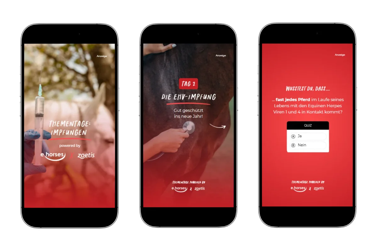 Social-Media-Beitrag der Kampagne auf dem Kanal von ehorses